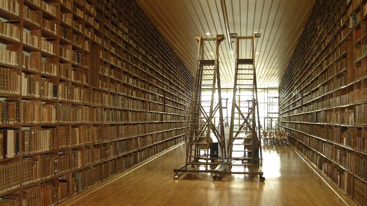 Grösster mittelatlerbestand frankreichs