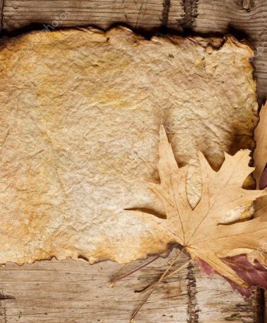 Das erste „Made in France“hergestellt papier