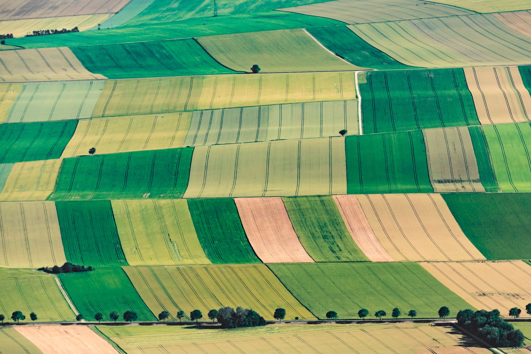 Landschaftliche Vielfalt der Champagne im Département Aube