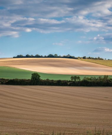 Zwischen Ebene und Plateau Barrois