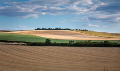Zwischen Ebene und Plateau Barrois