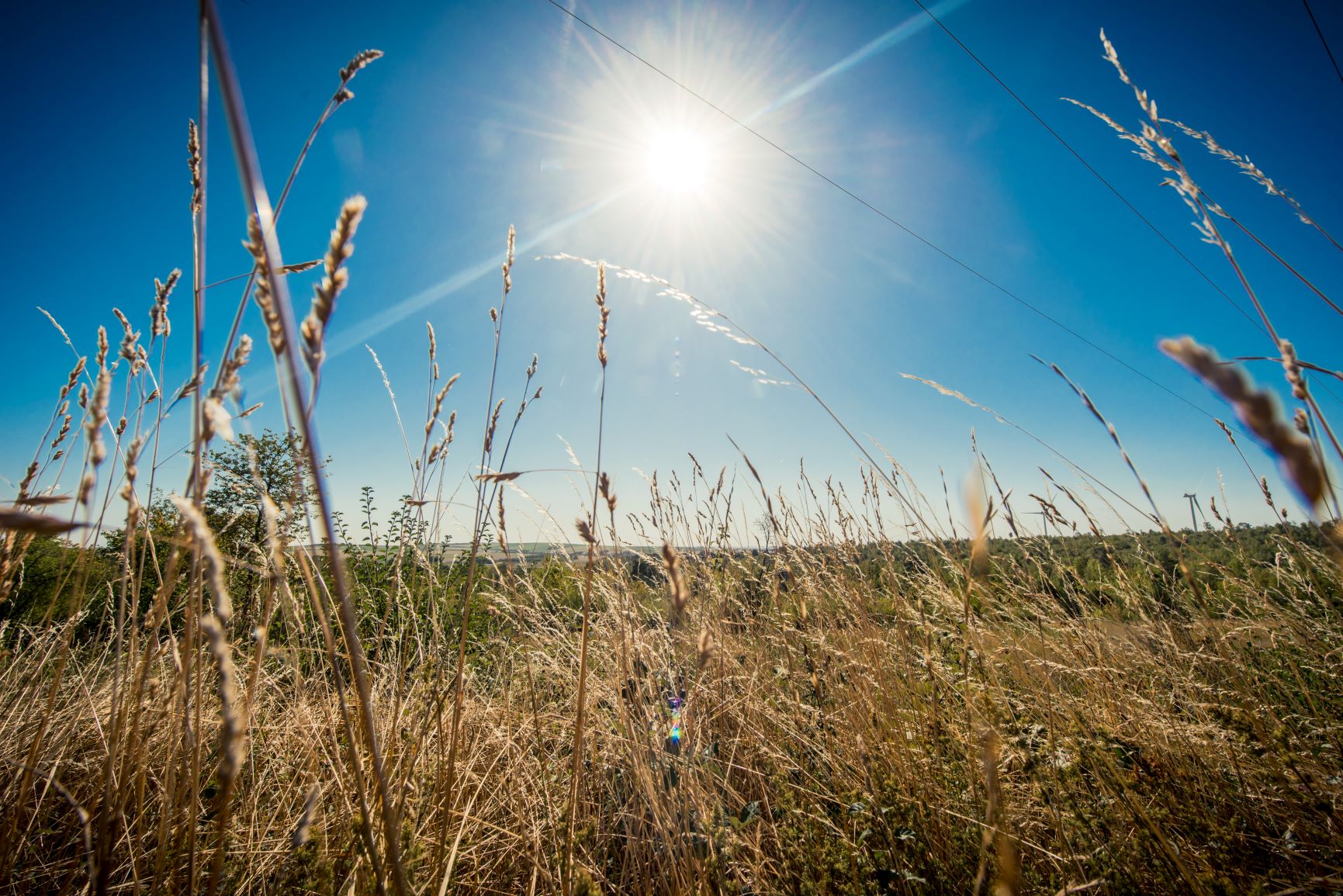 Die Marke „Troyes La Champagne“