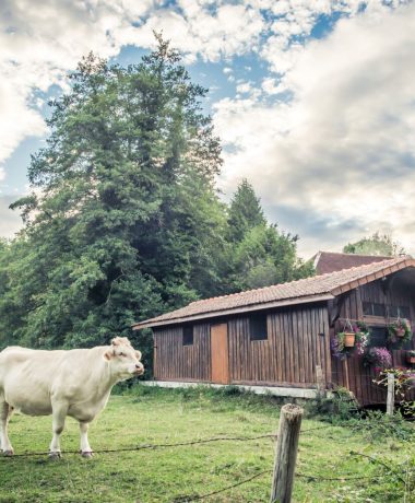 Rund um Troyes La Champagne – das Wesentliche