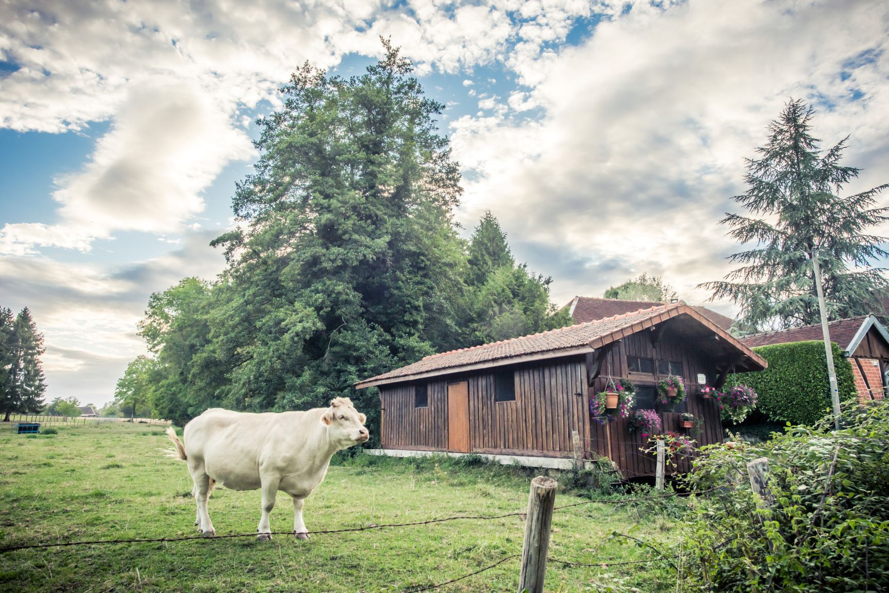 Rund um Troyes La Champagne – das Wesentliche