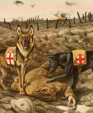 Ein Tribut an meine Vorfahren!