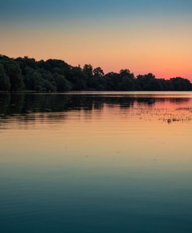 In die Champagne Humide