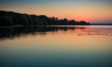 In die Champagne Humide