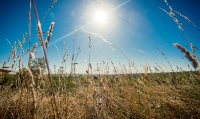 Ein kleines Stück Normandie