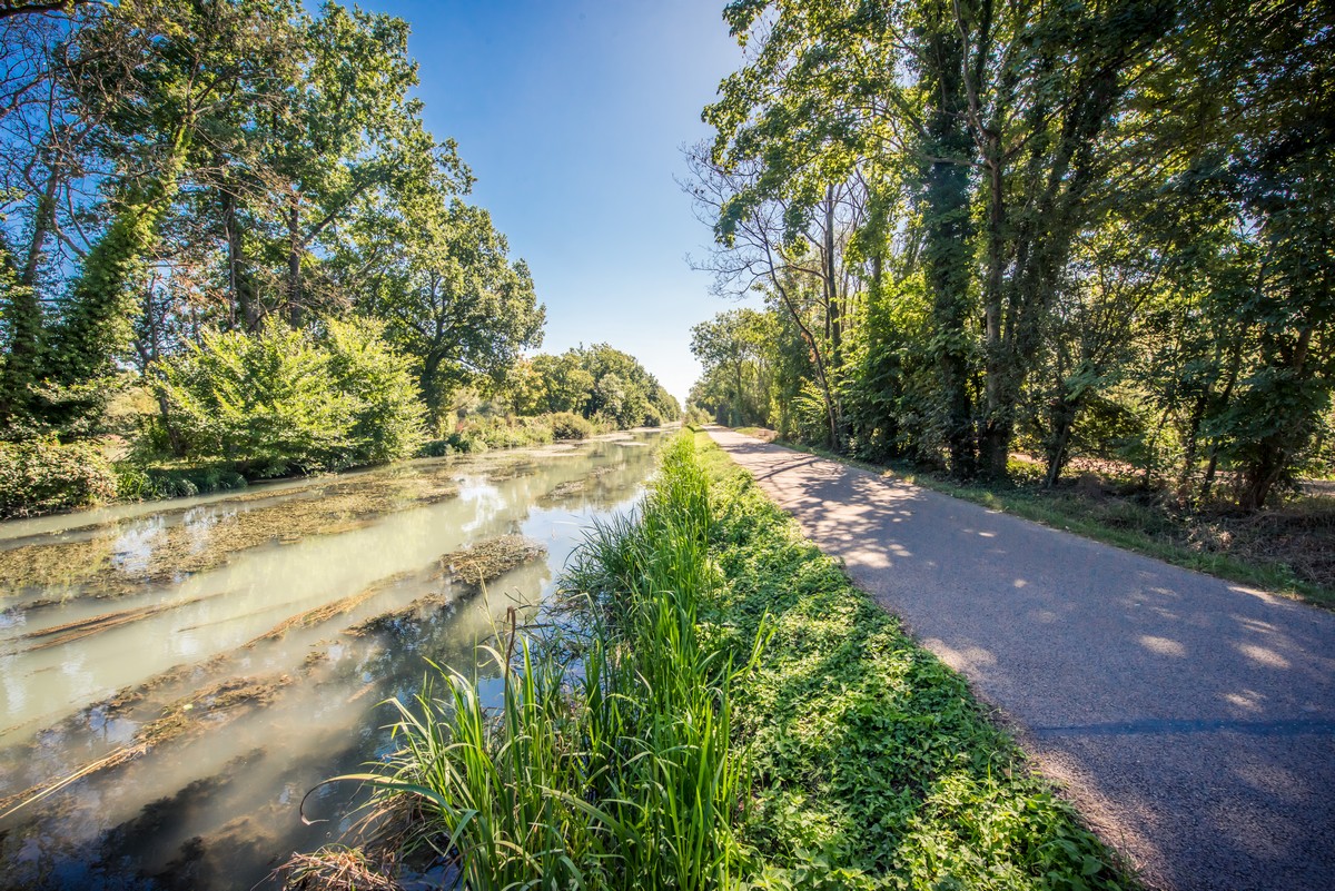 Naturreisen in der Champagne