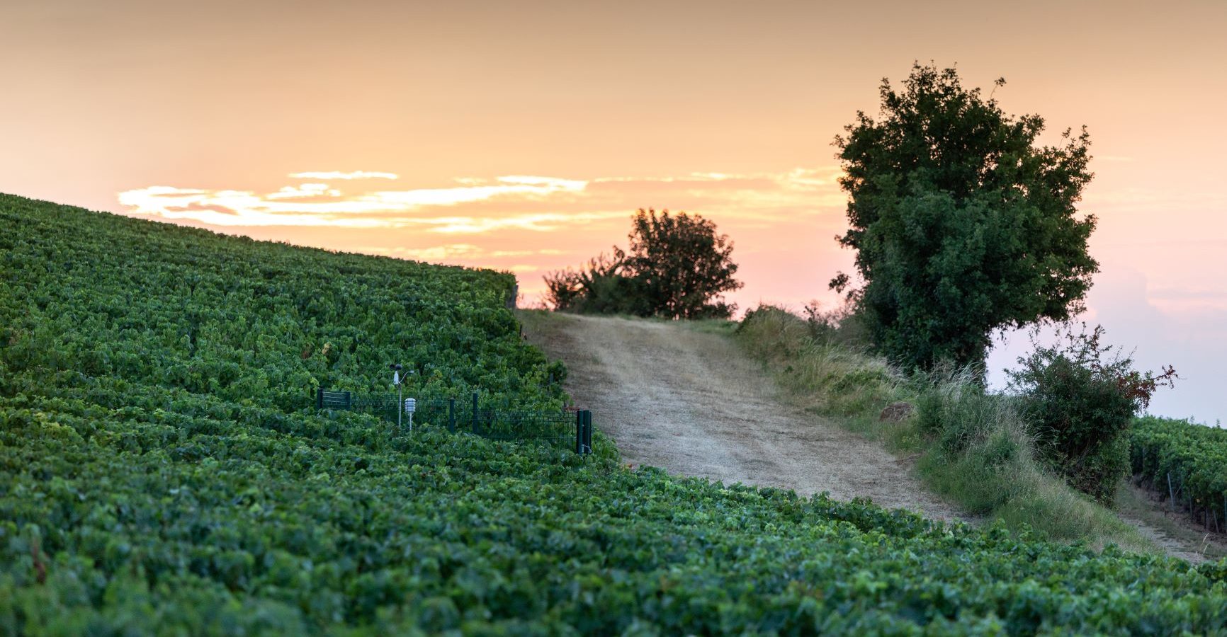 Routes Terres & Vignes et Gîtes