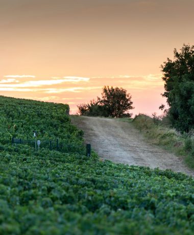 Routes Terres & Vignes et Gîtes