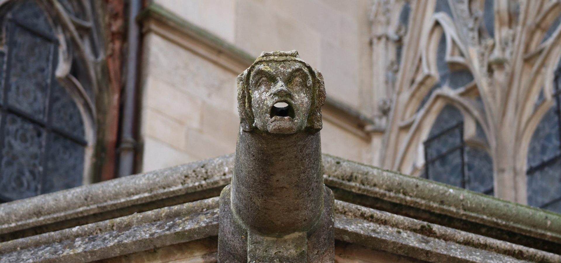 Nonnen mit Temperament