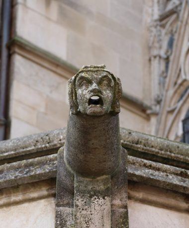 Nonnen mit Temperament