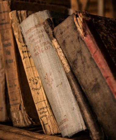 Troyes, die Bücherstadt