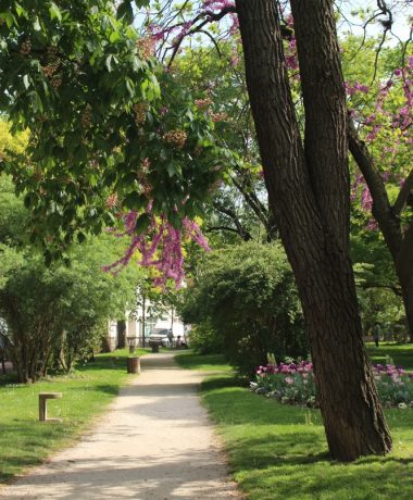 Meine Region ist grun