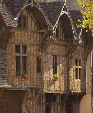 Die sukzessive Wiedergeburt