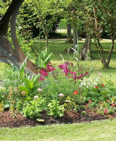 La Chapelle Saint Luc