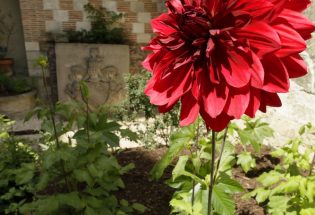 Jardin des Teinturiers