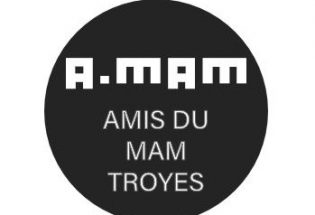 Les Amis du musée d’Art moderne de Troyes