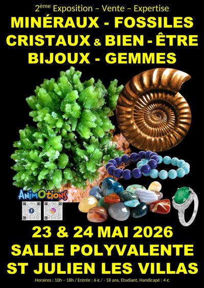 2ème Salon Minéraux Fossiles Cristaux & Bien-Être Bijoux et Gemmes de Troyes