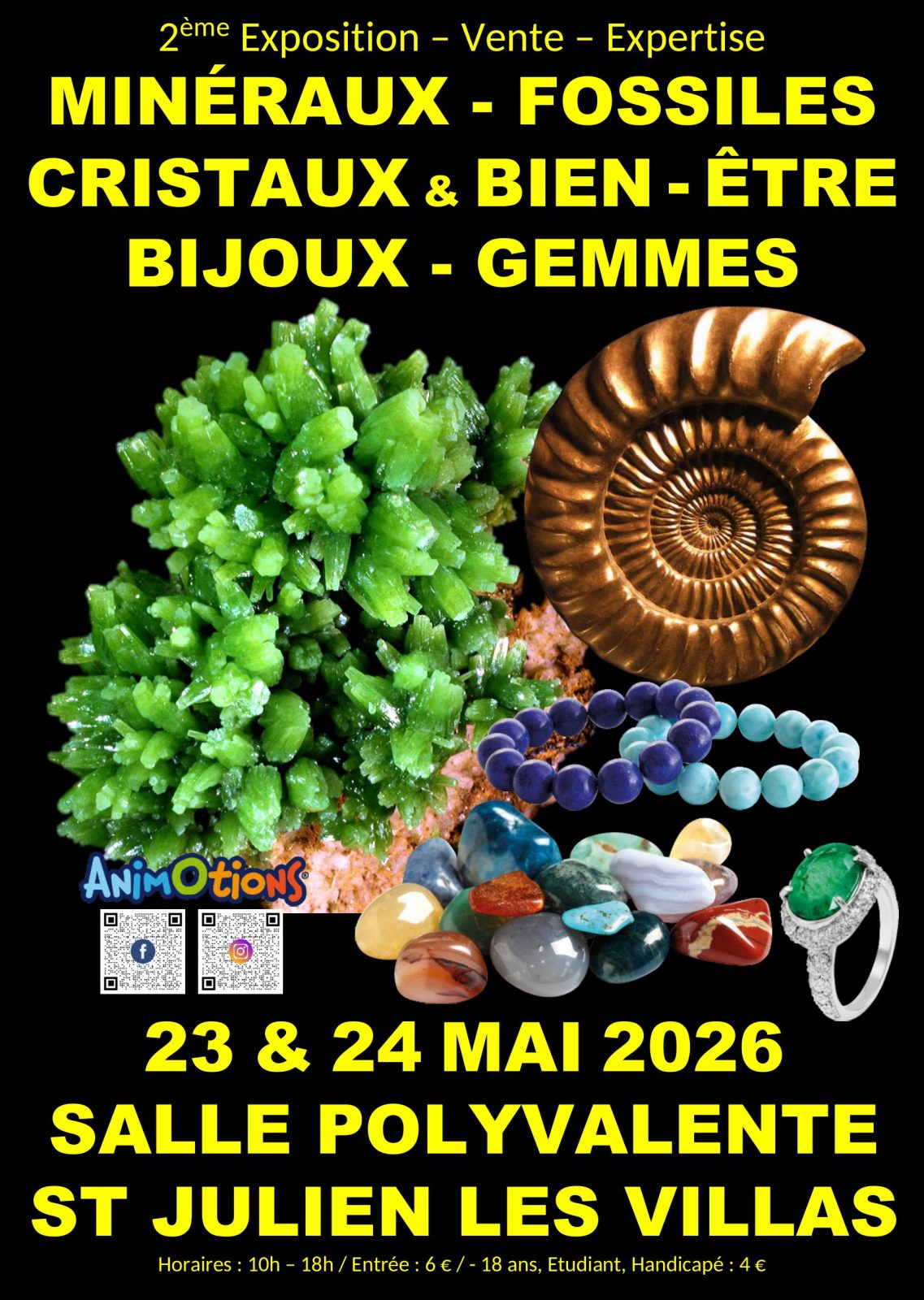 2ème Salon Minéraux Fossiles Cristaux & Bien-Être Bijoux et Gemmes de Troyes