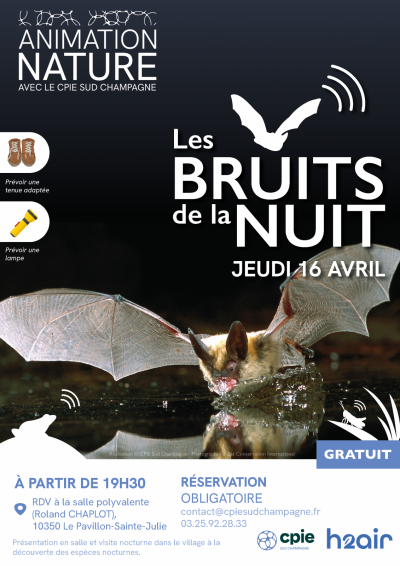 Les bruits de la nuit