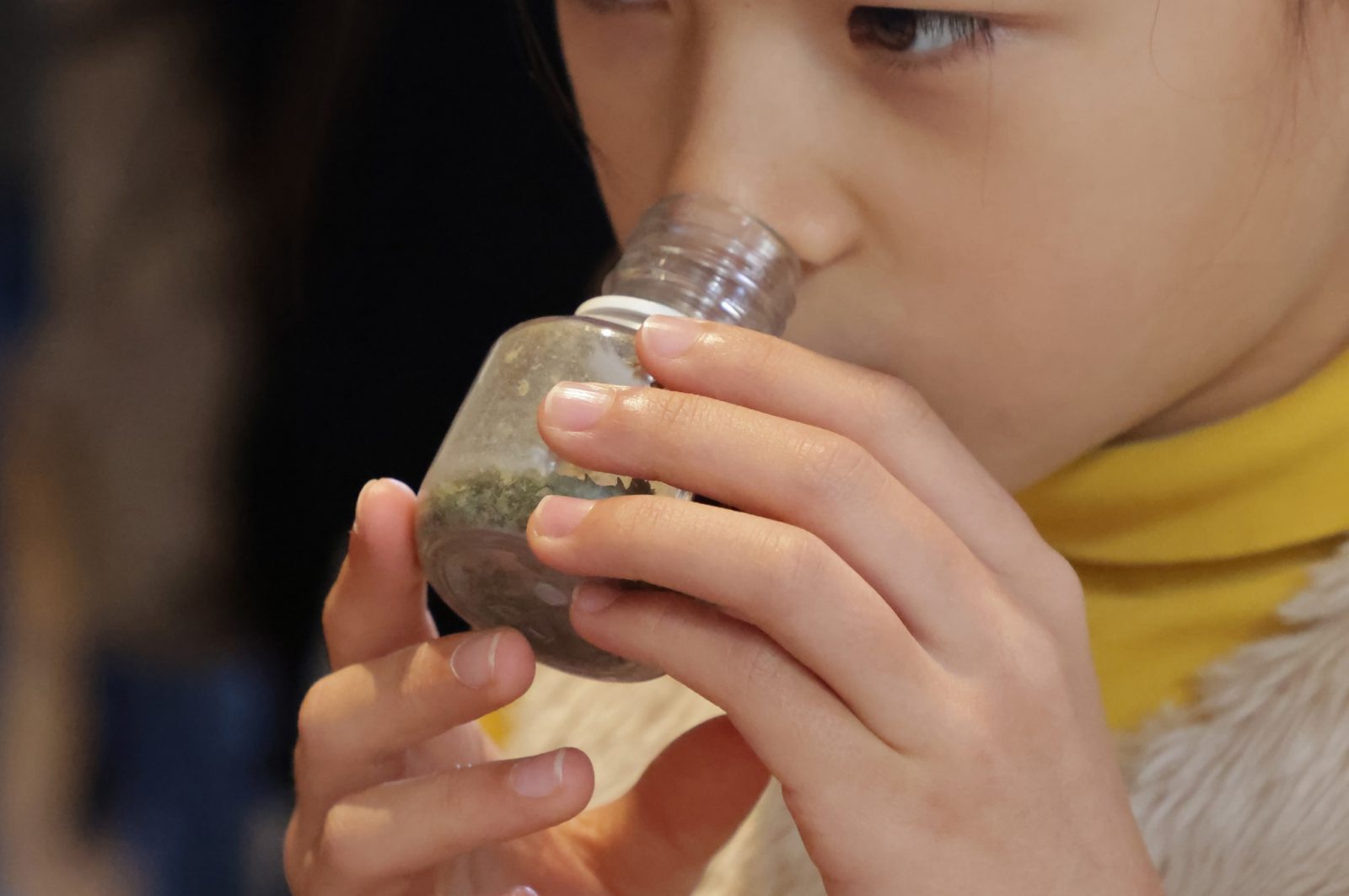 Visite ludique „Nature et sens en éveil“