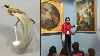 Visite-atelier en famille „Les animaux fantastiques du musée“