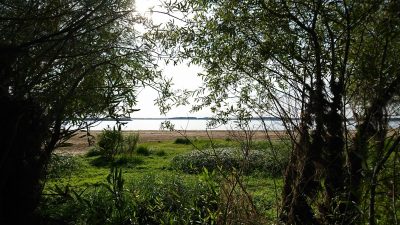 Visite nature – Balade champenoise