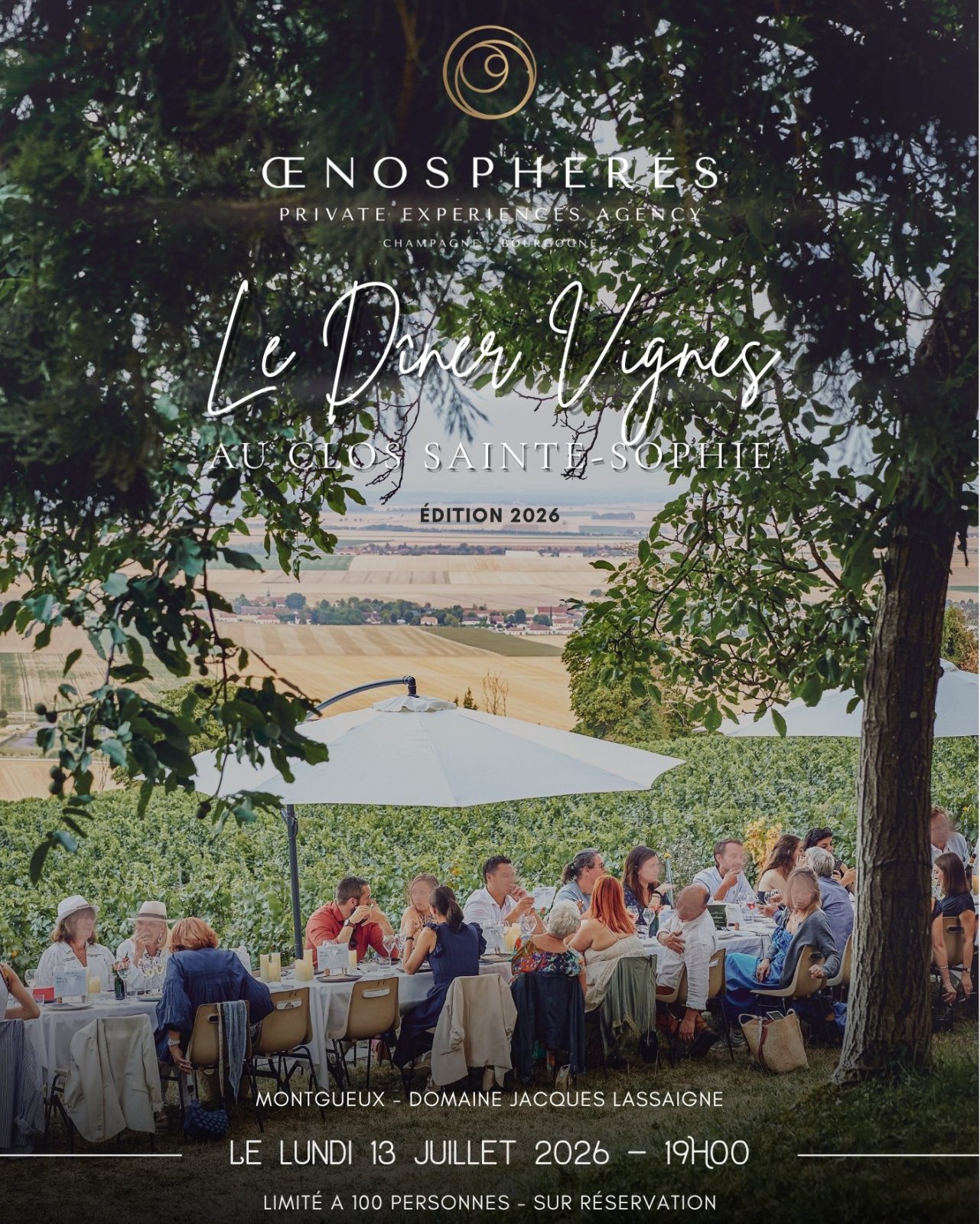 Le Dîner Vignes par OenoSpheres