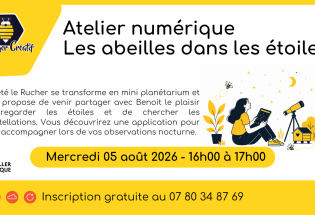 Atelier : Les abeilles dans les étoiles