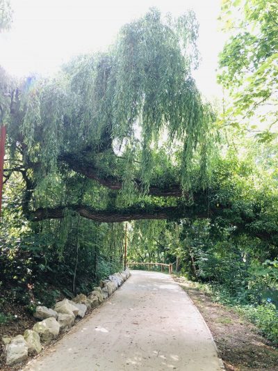 Atelier „bien-être & naturopathie“ en Automne