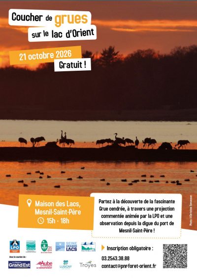 Coucher de grues sur le lac d’Orient