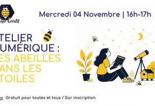 Atelier Numérique : Les abeilles dans les étoiles